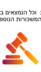 שכר חברי כנסת  וכל הנמצאים בממשלה כלשהי, החזרים של כפילויות +.jpg